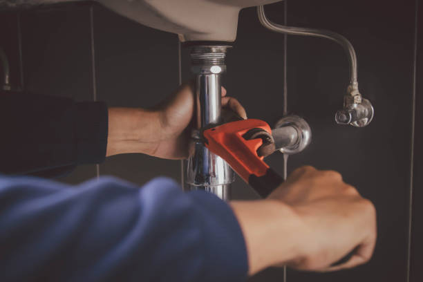 Best Residential Plumbing Services  in Afton, MN